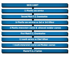 Career Path BSC NS